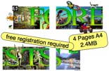 Forests Banner